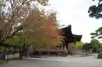 護国寺のその他建物