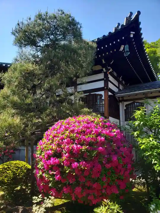 愛染院(東京都)