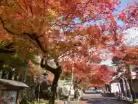 華厳寺(岐阜県)