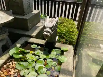 常休寺の手水舎