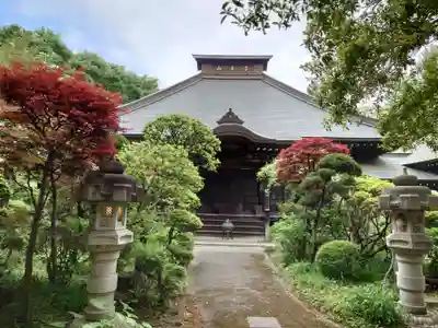 養樹院(圓通庵）(東京都)