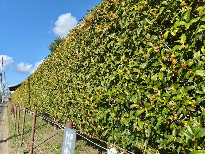 東寺(教王護国寺)(京都府)