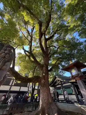 穴八幡宮(東京都)