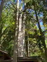 神坂神社(長野県)