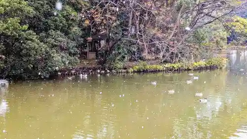菊田神社の動物