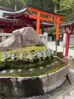 九頭龍神社本宮の{uncategorized: "未分類", other: "その他", undefined: "問題あり", building: "その他建物", grave: "お墓", sacred_gate: "鳥居", guardian: "狛犬", statue: "像", buddha: "仏像", history: "歴史", nature: "自然", garden: "庭園", animal: "動物", pagoda: "塔", temizu: "手水舎", mountain_gate: "山門・神門", sanctuary: "本殿・本堂", subordinate: "末社・摂社", art: "芸術", scenery: "景色", jizo: "地蔵", ema: "絵馬", goshuin: "御朱印", omikuji: "おみくじ", items: "授与品その他", amulet: "お守り", goshuincho: "御朱印帳", eats: "食事", festival: "お祭り", votive_dance: "神楽", shichigosan: "七五三参", wedding: "結婚式", experience: "体験その他", initially: "初詣", around: "周辺", anti_infection: "感染症対策"}