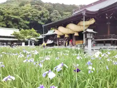 宮地嶽神社の末社・摂社