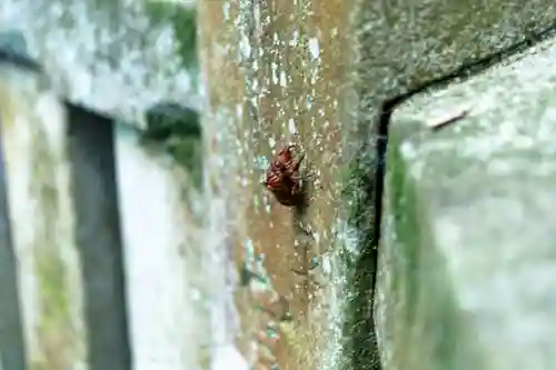 諏訪大社下社春宮(長野県)