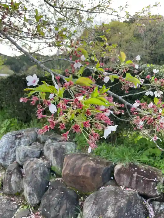恵利寺の庭園