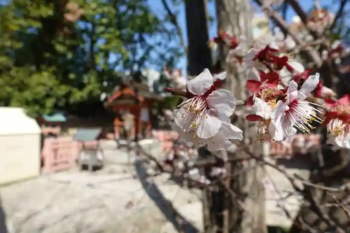 率川神社(大神神社摂社)の自然
