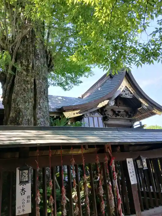 麻賀多神社の{uncategorized: "未分類", other: "その他", undefined: "問題あり", building: "その他建物", grave: "お墓", sacred_gate: "鳥居", guardian: "狛犬", statue: "像", buddha: "仏像", history: "歴史", nature: "自然", garden: "庭園", animal: "動物", pagoda: "塔", temizu: "手水舎", mountain_gate: "山門・神門", sanctuary: "本殿・本堂", subordinate: "末社・摂社", art: "芸術", scenery: "景色", jizo: "地蔵", ema: "絵馬", goshuin: "御朱印", omikuji: "おみくじ", items: "授与品その他", amulet: "お守り", goshuincho: "御朱印帳", eats: "食事", festival: "お祭り", votive_dance: "神楽", shichigosan: "七五三参", wedding: "結婚式", experience: "体験その他", initially: "初詣", around: "周辺", anti_infection: "感染症対策"}