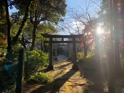 八幡神社(千葉県)