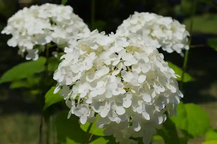 智積院(京都府)