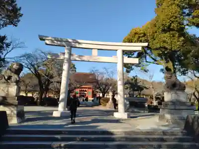富士山本宮浅間大社(静岡県)