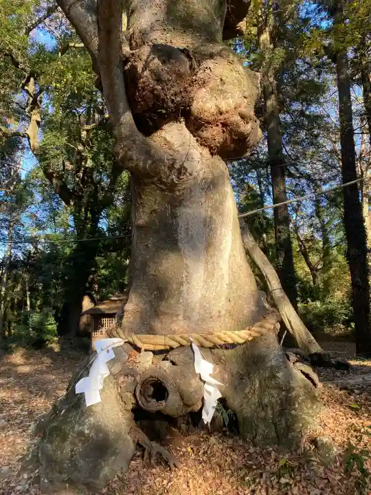 中村八幡宮(栃木県)