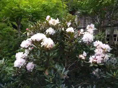 国宝 長寿寺(滋賀県)