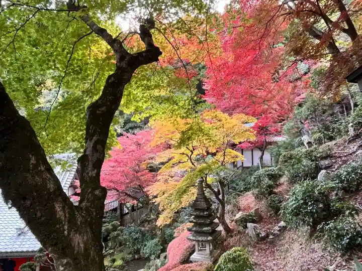 柳谷観音 楊谷寺(京都府)