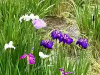 本土寺(千葉県)