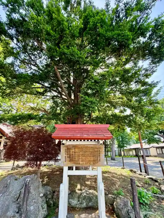 豊栄神社(北海道)
