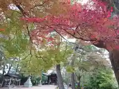 三嶋神社の自然