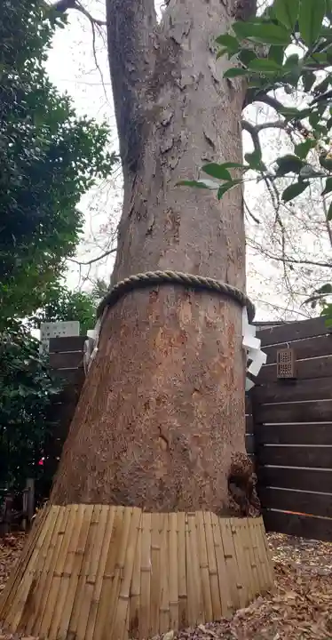 鎮守氷川神社のその他建物