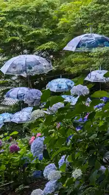 柳谷観音　楊谷寺(京都府)