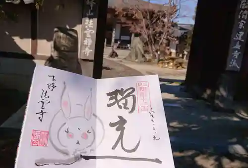 法雲寺の御朱印