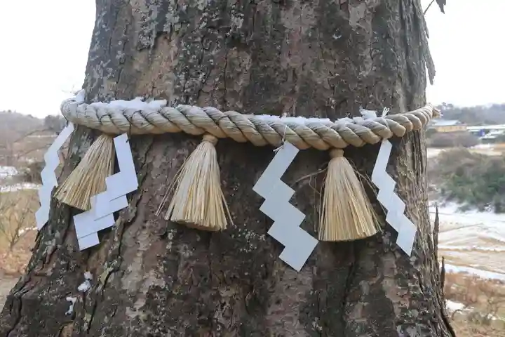 阿久津「田村神社」(郡山市阿久津町)旧社名:伊豆箱根三嶋三社の自然