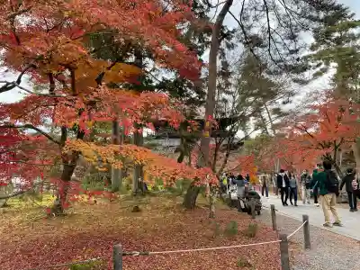 南禅院(京都府)