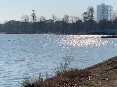香取神社の周辺