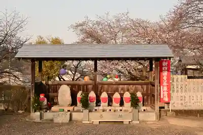 実報寺(愛媛県)