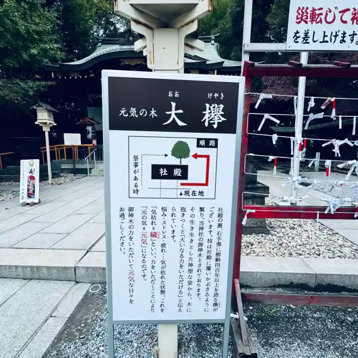 鎮守氷川神社(埼玉県)