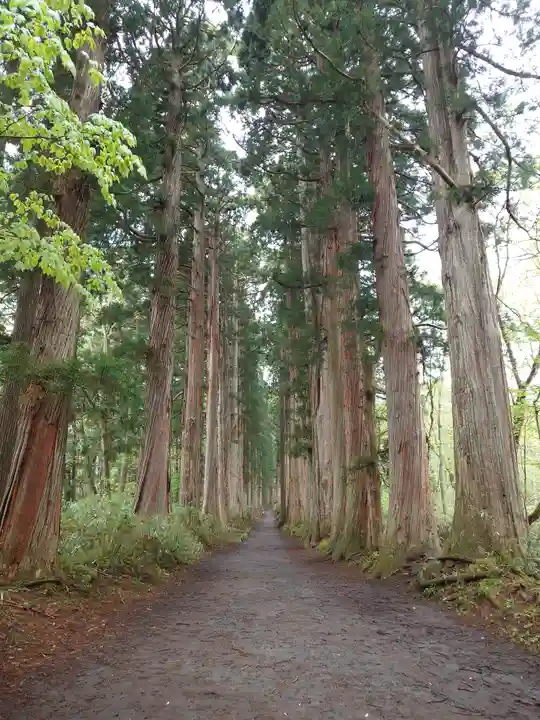 戸隠神社奥社(長野県)