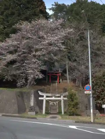 日枝神社の鳥居