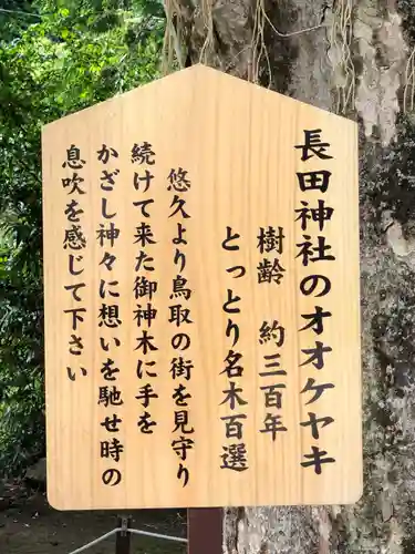 長田神社の歴史