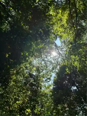 サムハラ神社 奥の宮(岡山県)