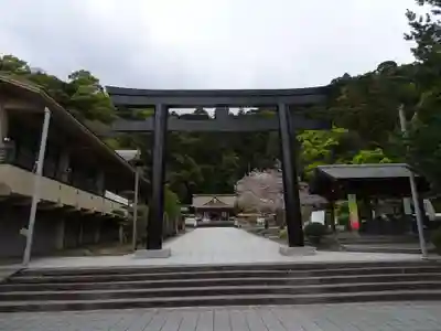 鹿児島縣護國神社の鳥居