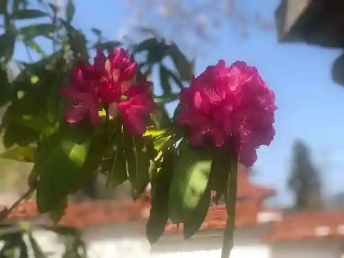 木舟山　順教寺(広島県)