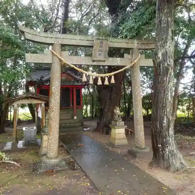 出世稲荷神社の鳥居