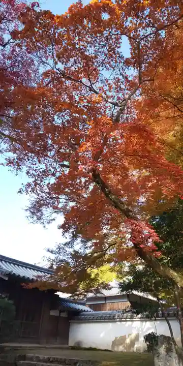 圓教寺(兵庫県)