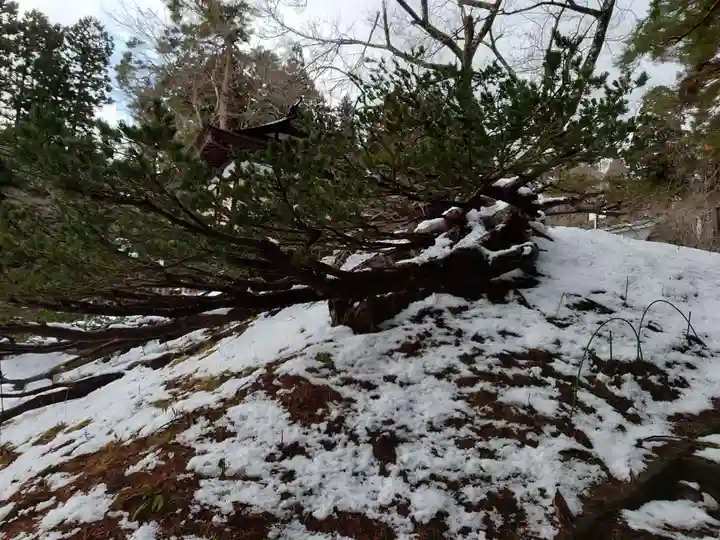 土津神社|こどもと出世の神さま(福島県)
