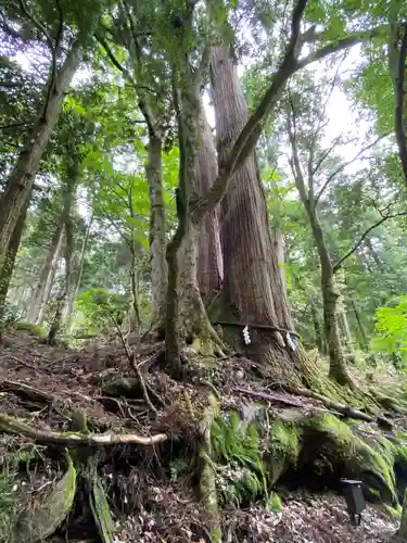 貴船神社奥宮(京都府)