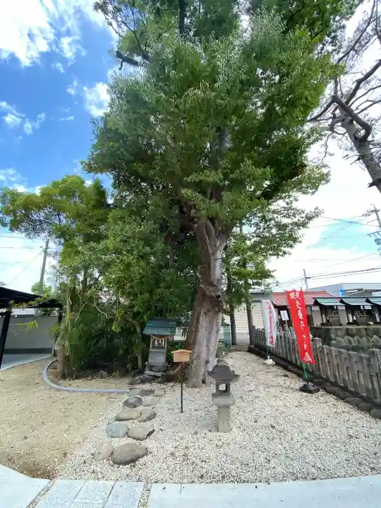 青林山 延命寺(愛知県)