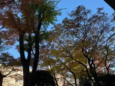 金剛寺(東京都)