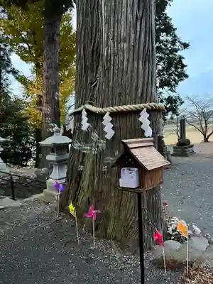 高司神社〜むすびの神の鎮まる社〜のその他建物