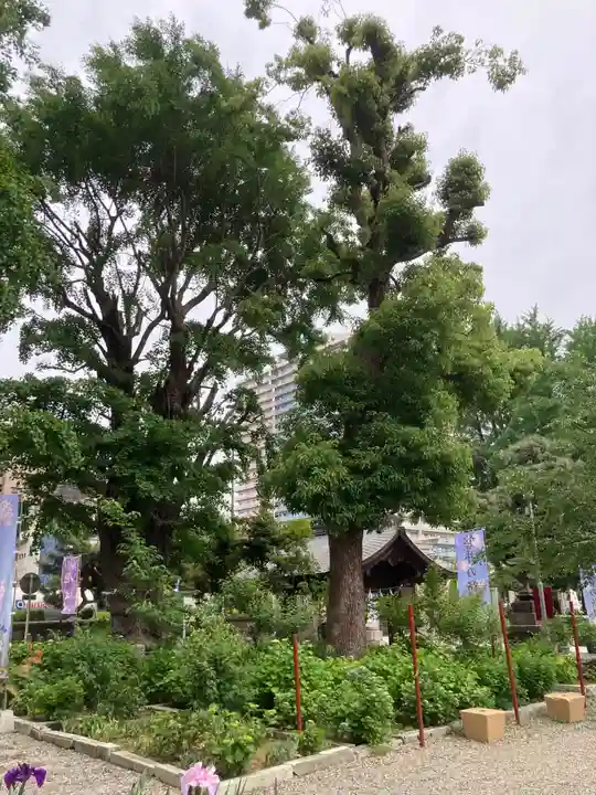 磐井神社(東京都)