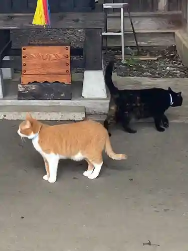 熊野那智神社(宮城県)