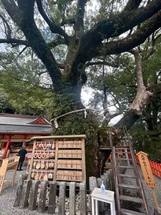 熊野那智大社の{uncategorized: "未分類", other: "その他", undefined: "問題あり", building: "その他建物", grave: "お墓", sacred_gate: "鳥居", guardian: "狛犬", statue: "像", buddha: "仏像", history: "歴史", nature: "自然", garden: "庭園", animal: "動物", pagoda: "塔", temizu: "手水舎", mountain_gate: "山門・神門", sanctuary: "本殿・本堂", subordinate: "末社・摂社", art: "芸術", scenery: "景色", jizo: "地蔵", ema: "絵馬", goshuin: "御朱印", omikuji: "おみくじ", items: "授与品その他", amulet: "お守り", goshuincho: "御朱印帳", eats: "食事", festival: "お祭り", votive_dance: "神楽", shichigosan: "七五三参", wedding: "結婚式", experience: "体験その他", initially: "初詣", around: "周辺", anti_infection: "感染症対策"}