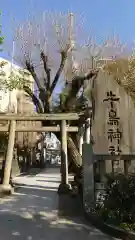 牛嶋神社の鳥居