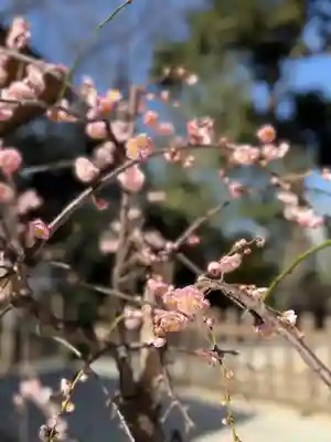 戸越八幡神社(東京都)